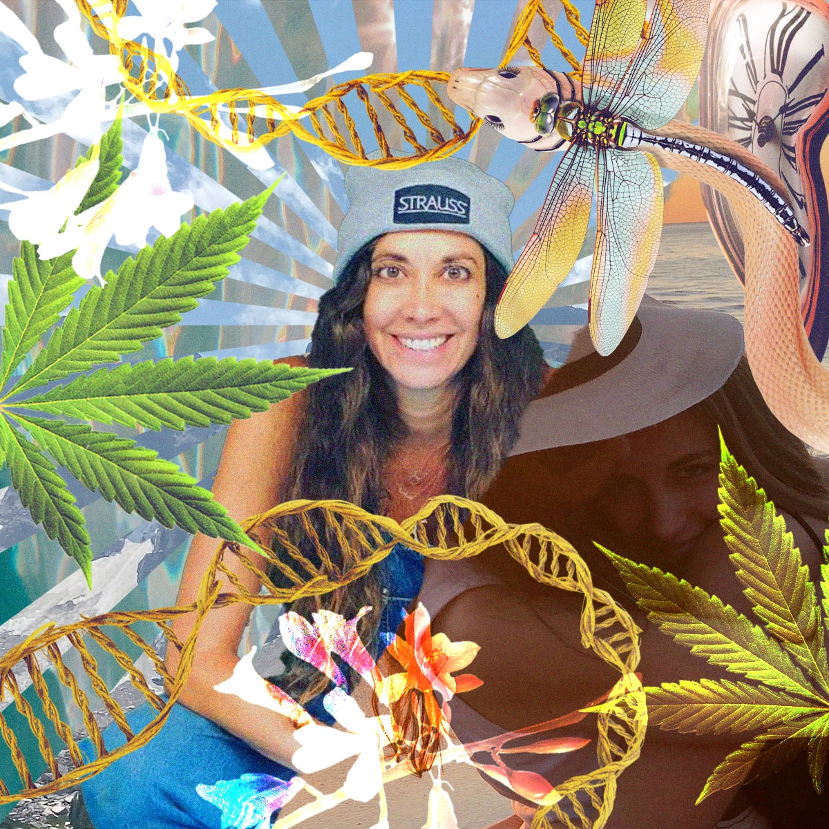 Portrait-style collage of a smiling woman identified as Diane according to the provided text, wearing a beanie, surrounded by layered visual elements including cannabis leaves, DNA strands, flowers, a dragonfly, and abstract natural textures in vibrant colors.
